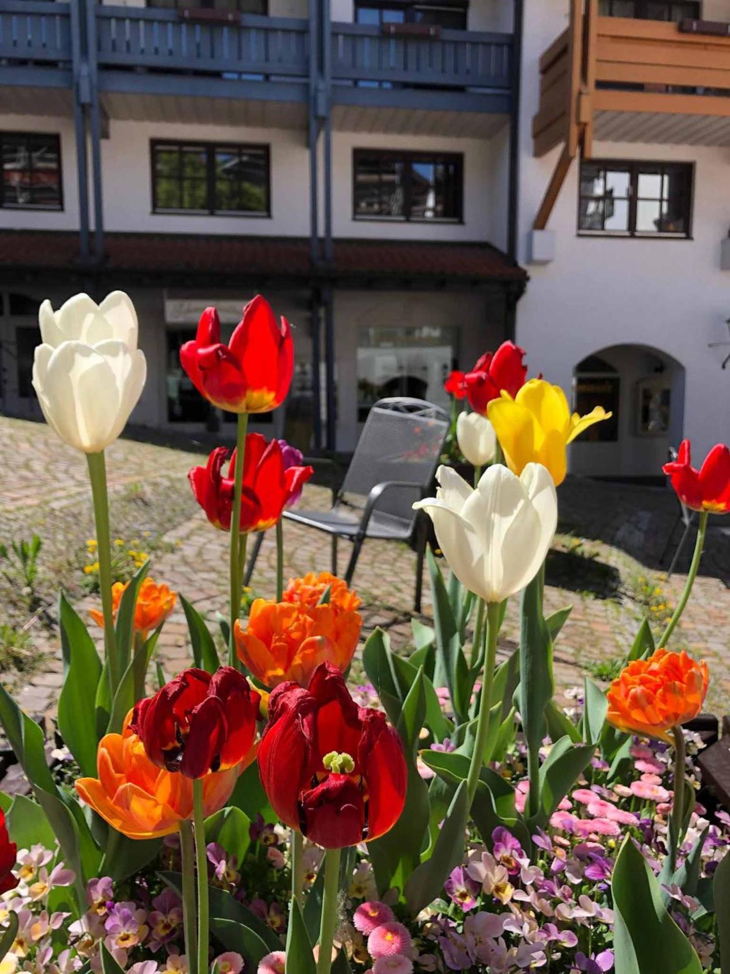 Appartement Am Brunnenplatzl Mit Bademantelzugang Bad Griesbach  Exterior photo